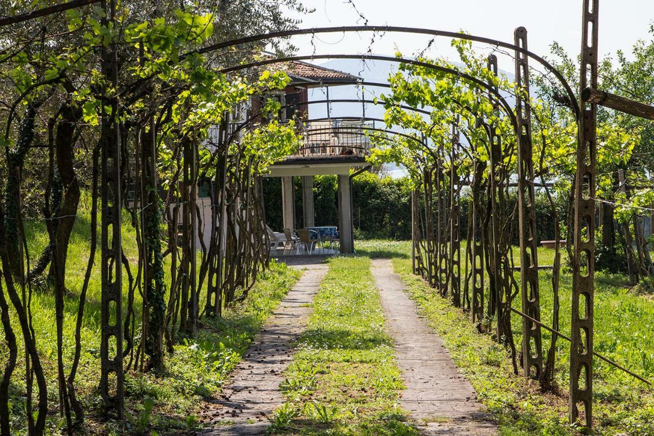 Villa Florida App Pelikan oben und App Sandpiper unten Pilzone Bagian luar foto