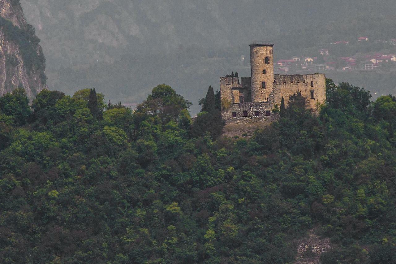 Villa Florida App Pelikan oben und App Sandpiper unten Pilzone Bagian luar foto